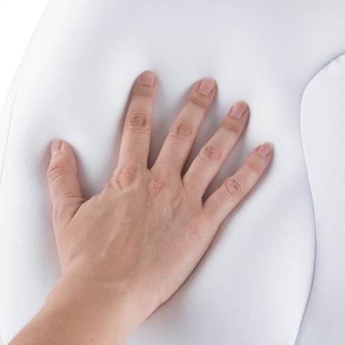 Lavish Home Microbead Pillow - White