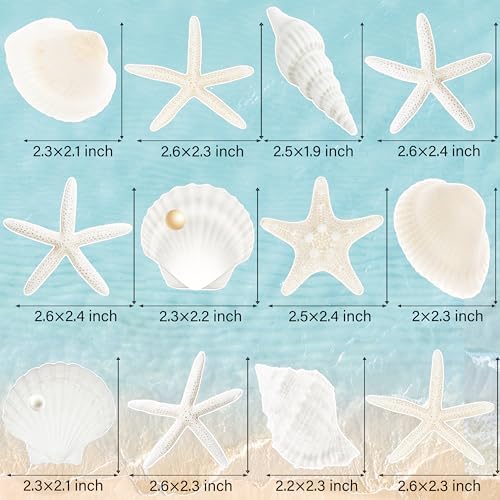 24pcs Beach Seashell Starfish Cupcake Toppers
